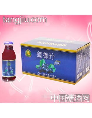 大源野蓝莓野果汁饮料汁小圆瓶260mlx15瓶