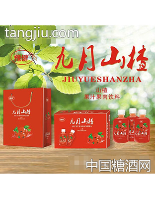 豫健九月山楂果汁果肉饮料