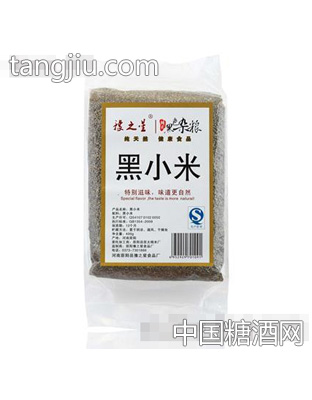 豫之星黑小米