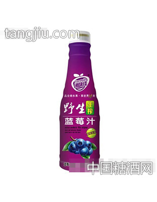缘味佳野生蓝莓汁500ml