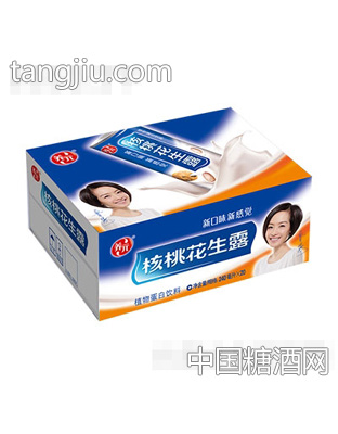 养元核桃花生露240mlx20罐