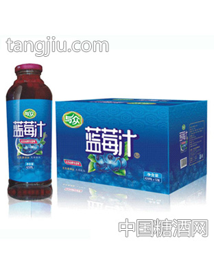 与众蓝莓汁420
