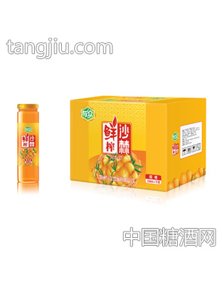 与众沙棘汁268ml