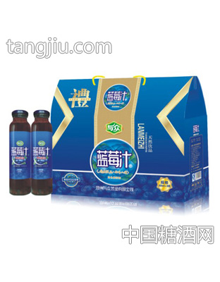 与众蓝莓汁礼品装