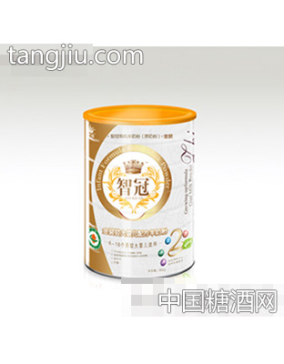 智冠金装300g2段