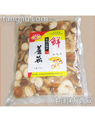 郑氏松毛菇