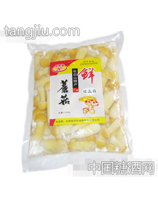 郑氏球盖菇