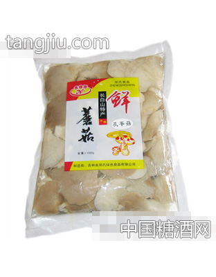 郑氏灰平菇