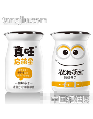 启萌星酸奶布丁椰子味