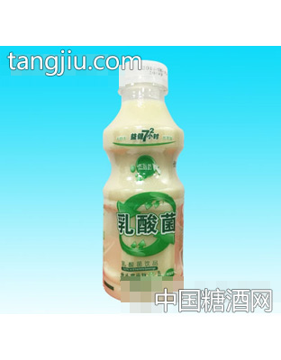 益健72小时乳酸菌凤梨味428ml