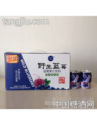 易拉罐245MLx10瓶