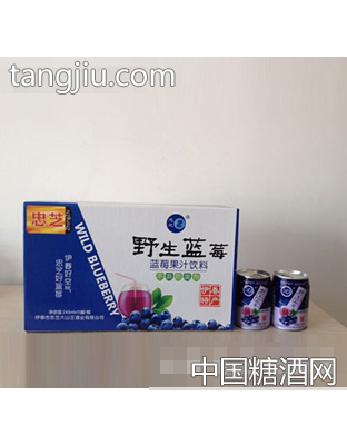 易拉罐245MLx15瓶