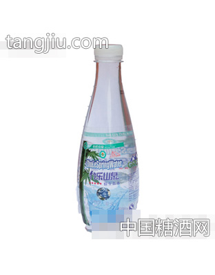 竹乐山泉500ml