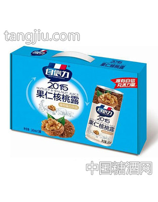 自信力果仁核桃露240mlx12罐礼盒