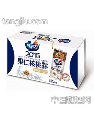 自信力果仁核桃露240mlx10罐礼盒