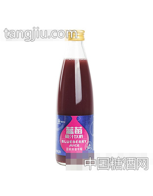 美得来蓝莓原果生榨饮品320g