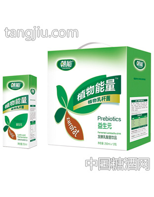 朝能植物能量发酵乳酸菌饮品芦荟味250mlX12