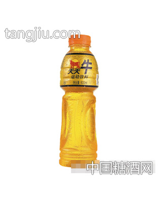 天天牛运动饮料600ml