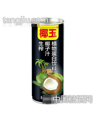 240ml椰玉生榨椰子汁植物蛋白饮料
