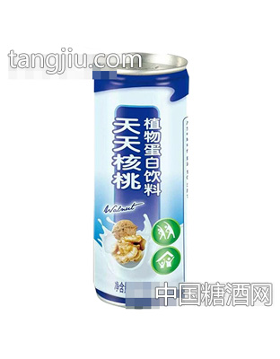 240ml天天核桃植物蛋白饮料