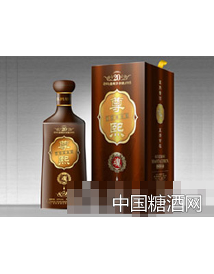 尊熙魂20