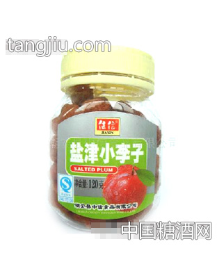 原果风味盐津小李子