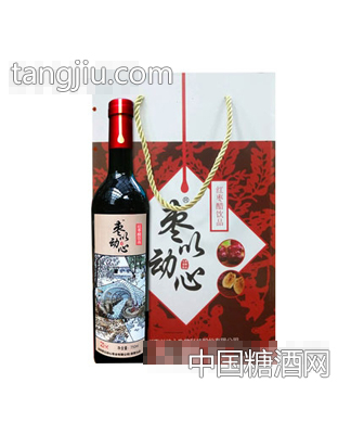 枣以动心红枣醋饮品