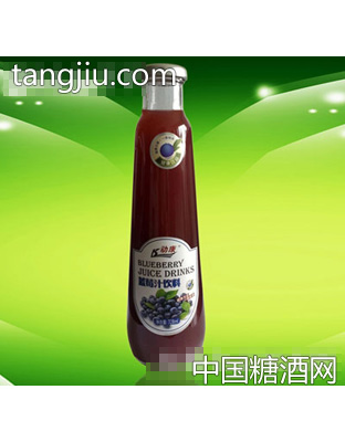 动康728ml蓝莓汁