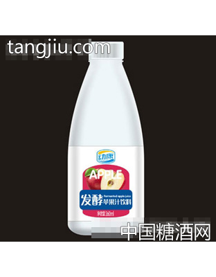 动康发酵苹果汁饮料360ml
