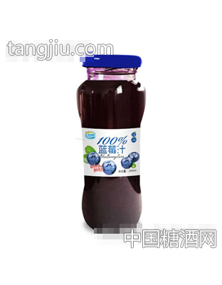 动康蓝莓汁99%200ML