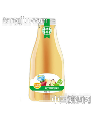 天地动康310ml果丁苹果汁饮料