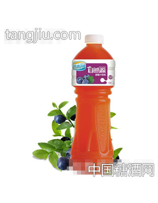 天地动康1.25L蓝莓汁