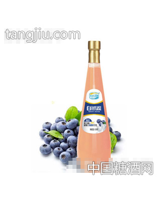 天地动康858ml蓝莓汁乳酸菌饮料