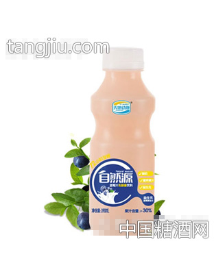 天地动康390ml乳酸菌蓝莓汁