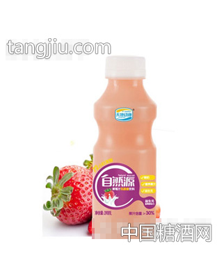 天地动康390ml乳酸菌草莓汁