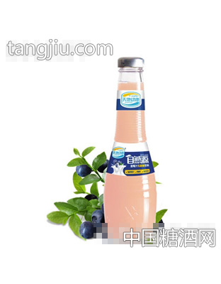 天地动康340ml蓝莓乳酸菌汁