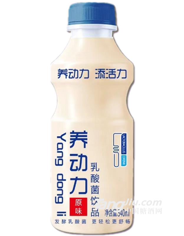 养动力乳酸菌