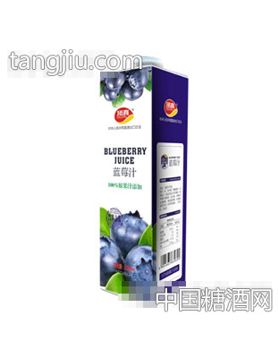 顶真蓝莓汁1L