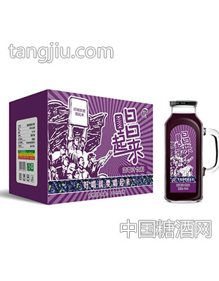 唱起来蓝莓汁980mlx6瓶