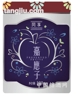 同享嘉应子100克罐装