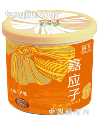 同享九制嘉应子110克罐装