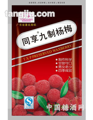同享九制杨梅26g