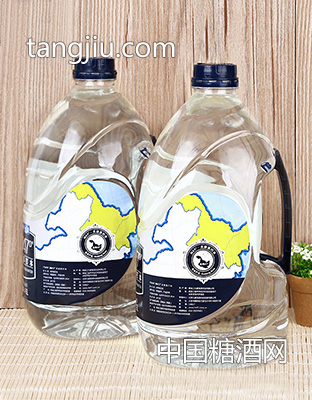 N47&#176;家庭装天然苏打水.