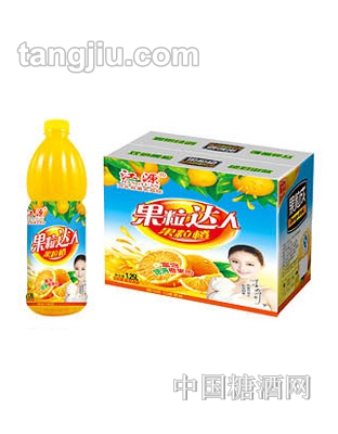 江源果粒饮品果粒达人1.25L