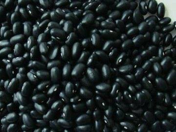 供应优质进口黑豆