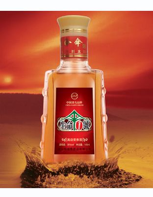 生命伞(精品装）.