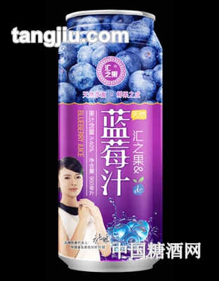 汇之果蓝莓汁饮料960ml