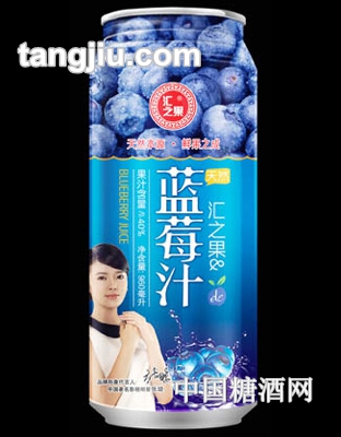 汇之果蓝莓汁960ml