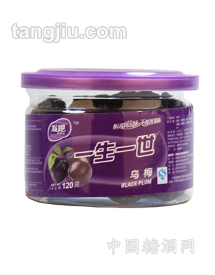 发吧-一生一世乌梅120g-长瓶装