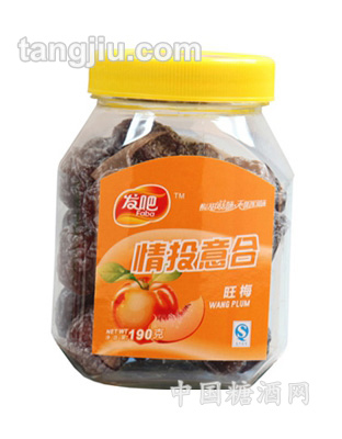 发吧-情投意合旺梅190g
